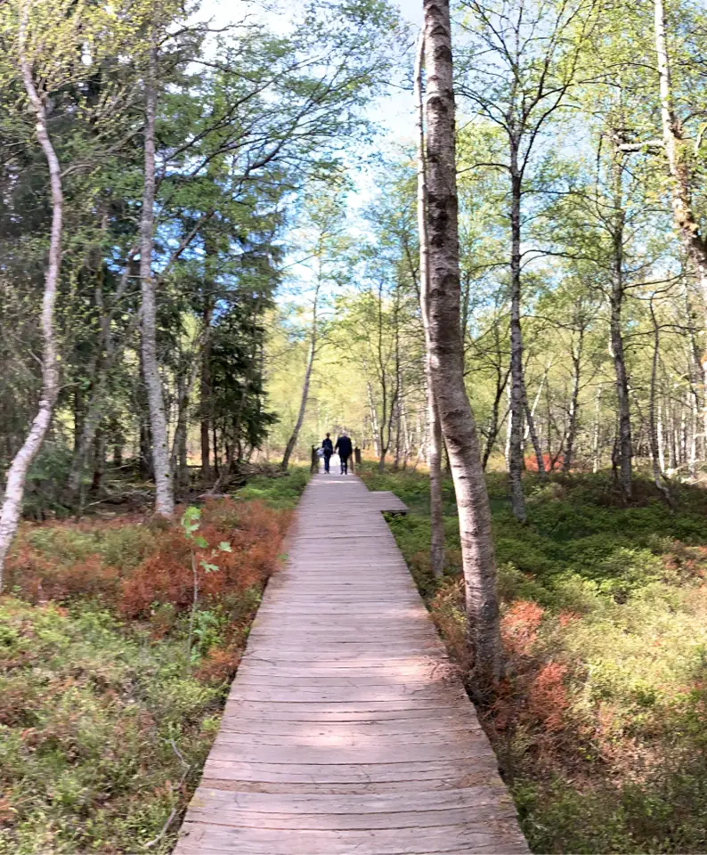 Rotes Moor